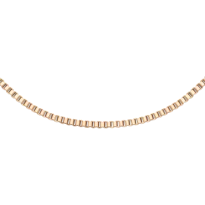 Box Chain Necklace RG Daniel Wellington