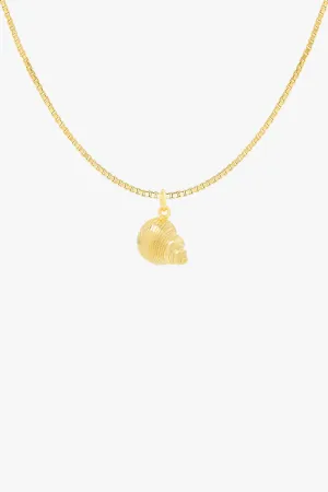 Crown Shell Necklace Gold Plated Wildthings Collectables