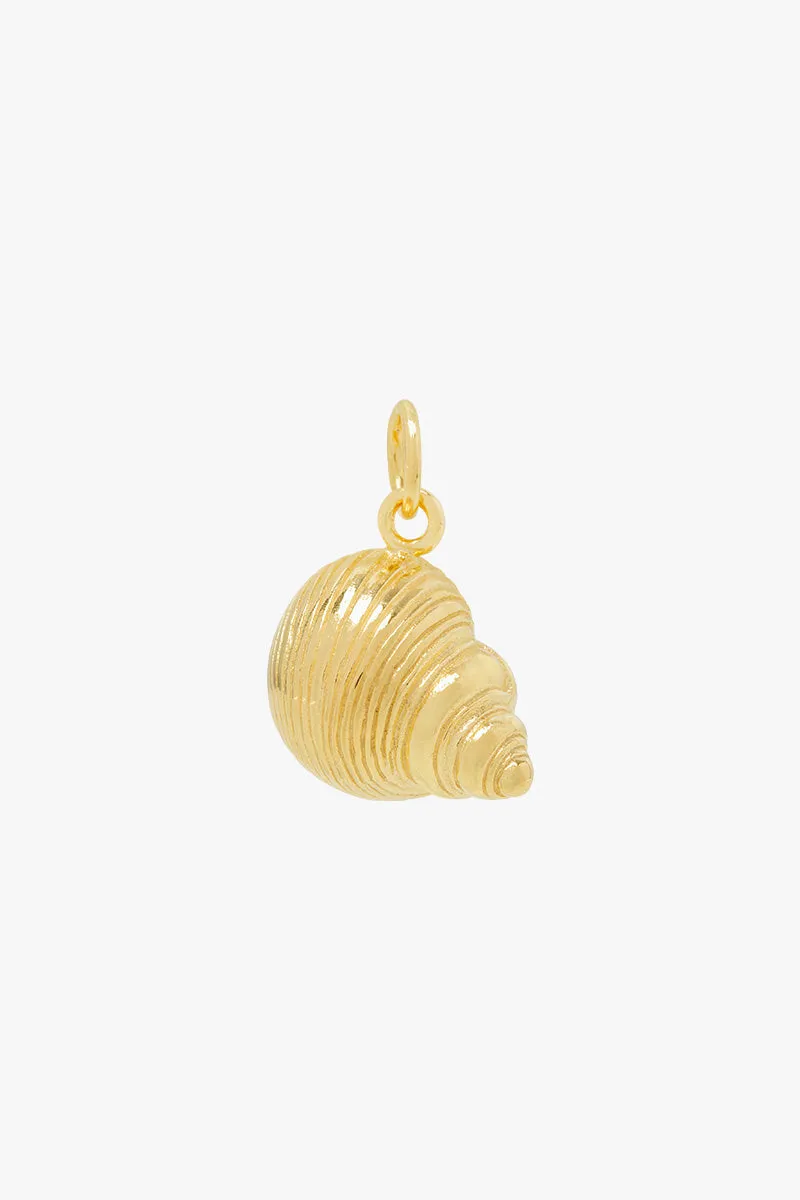 Crown Shell Necklace Gold Plated Wildthings Collectables