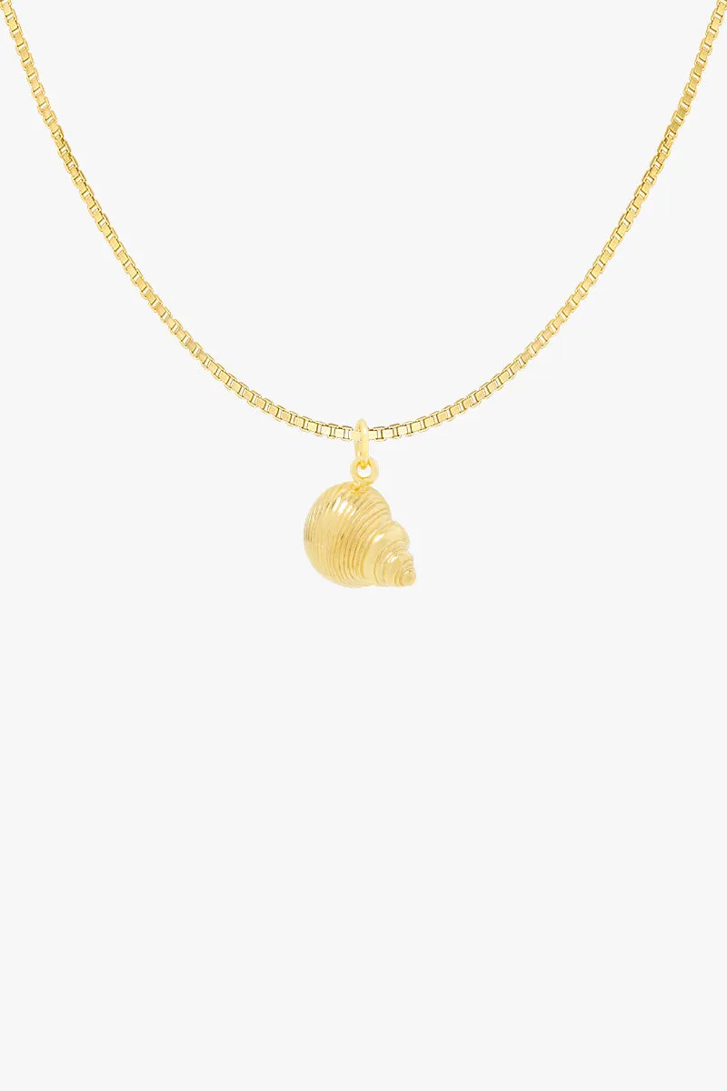 Crown Shell Necklace Gold Plated Wildthings Collectables