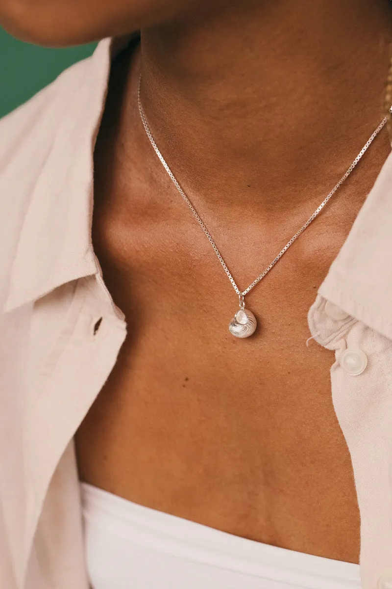 Crown Shell Necklace Silver Wildthings Collectables