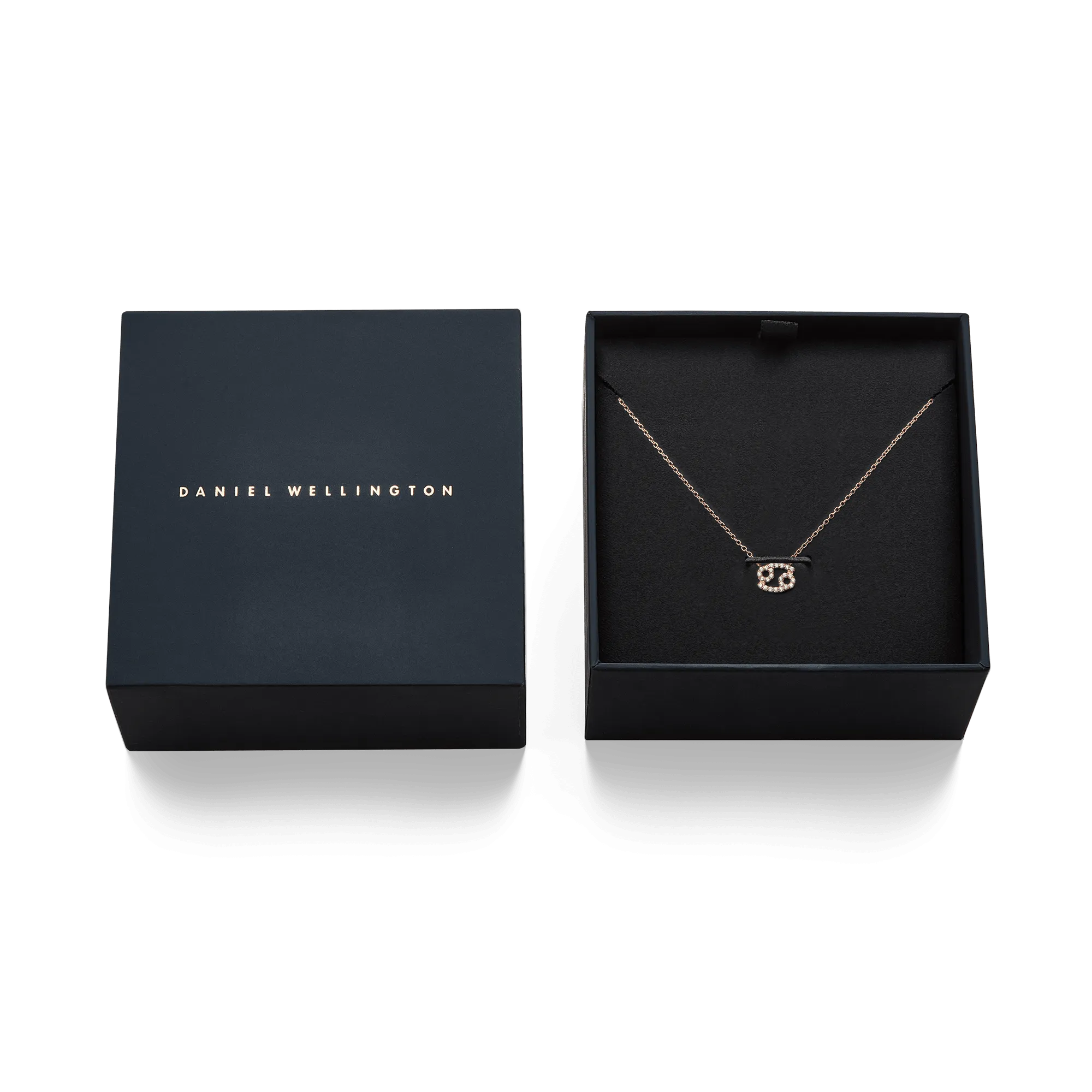 Crystal Zodiac Chain Necklace Rose Gold Daniel Wellington