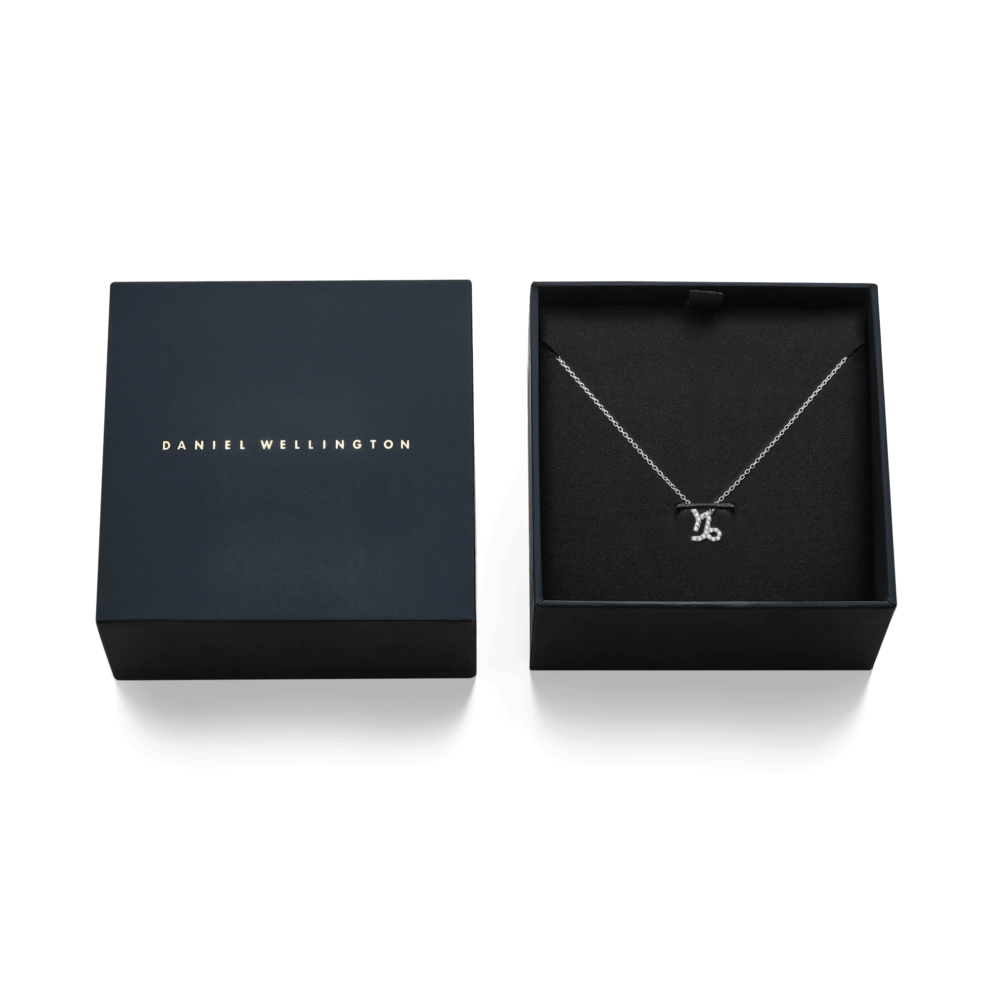 Crystal Zodiac Chain Necklace Silver Daniel Wellington
