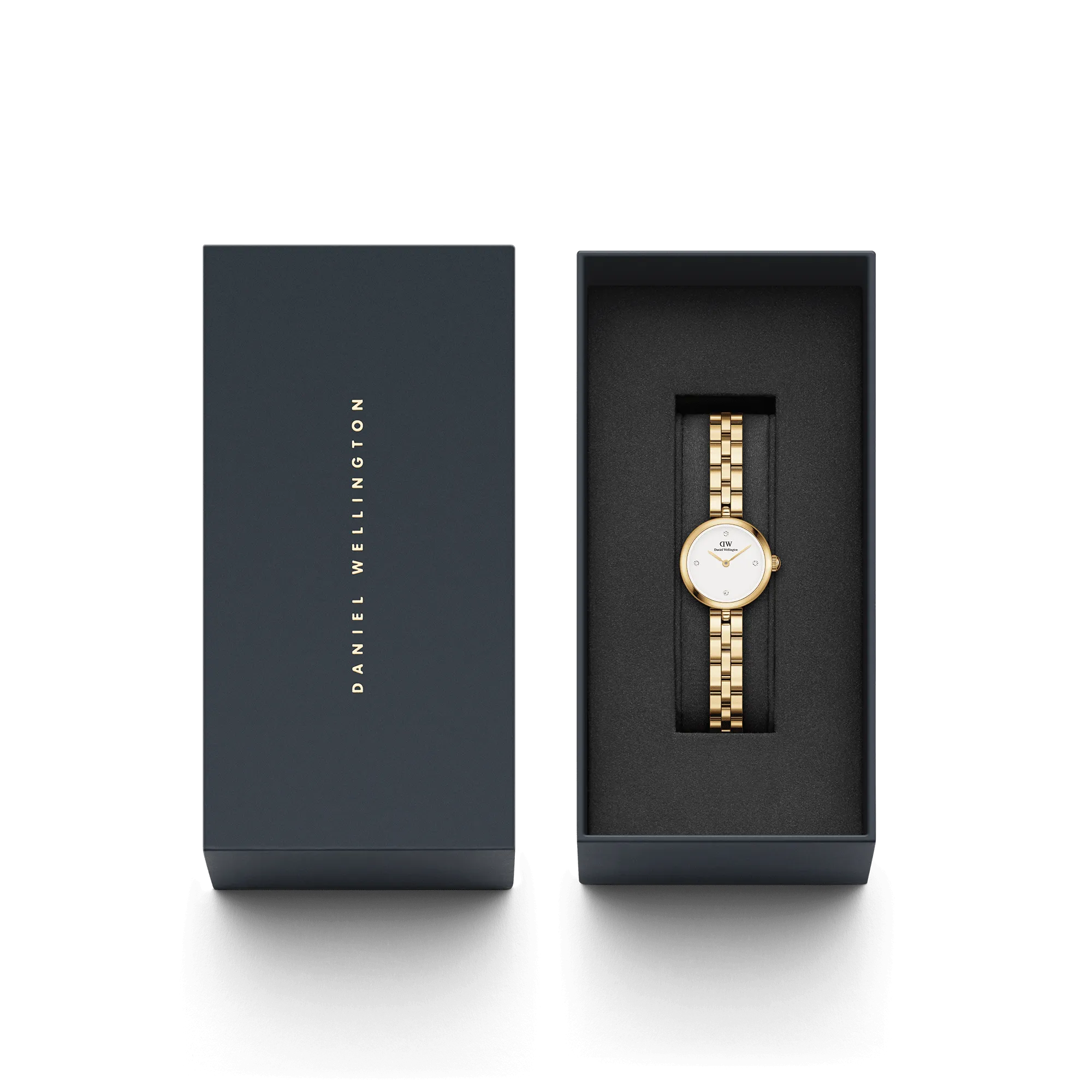 Elan Lumine Gold Daniel Wellington