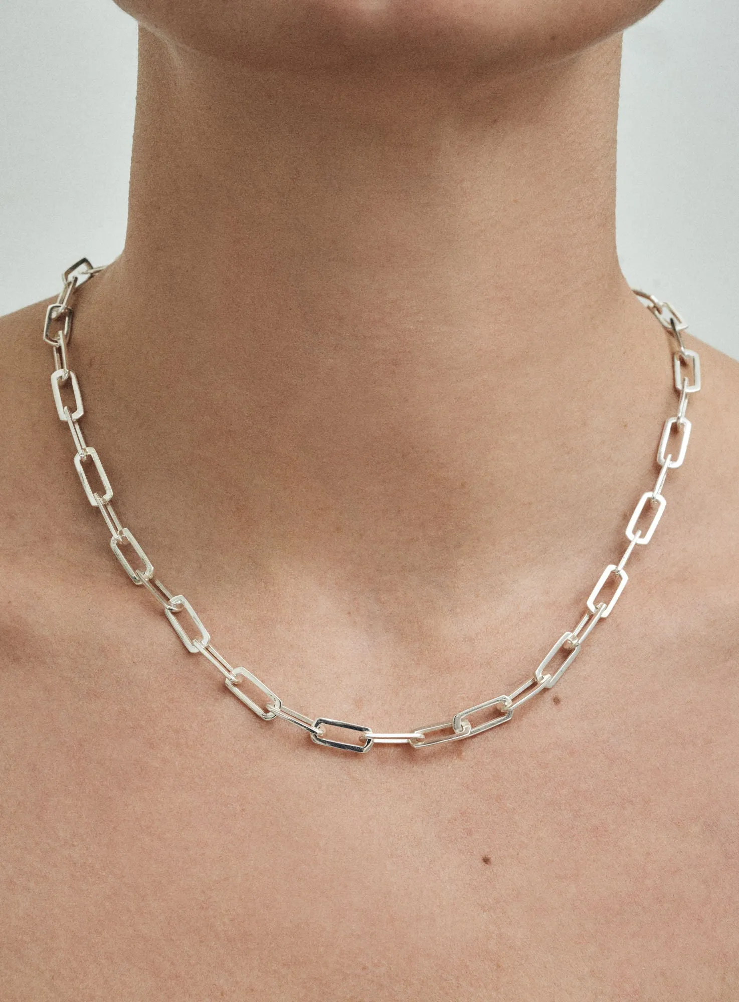 Fat Collect Silver Necklace