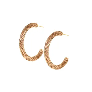 Hoopys Earrings