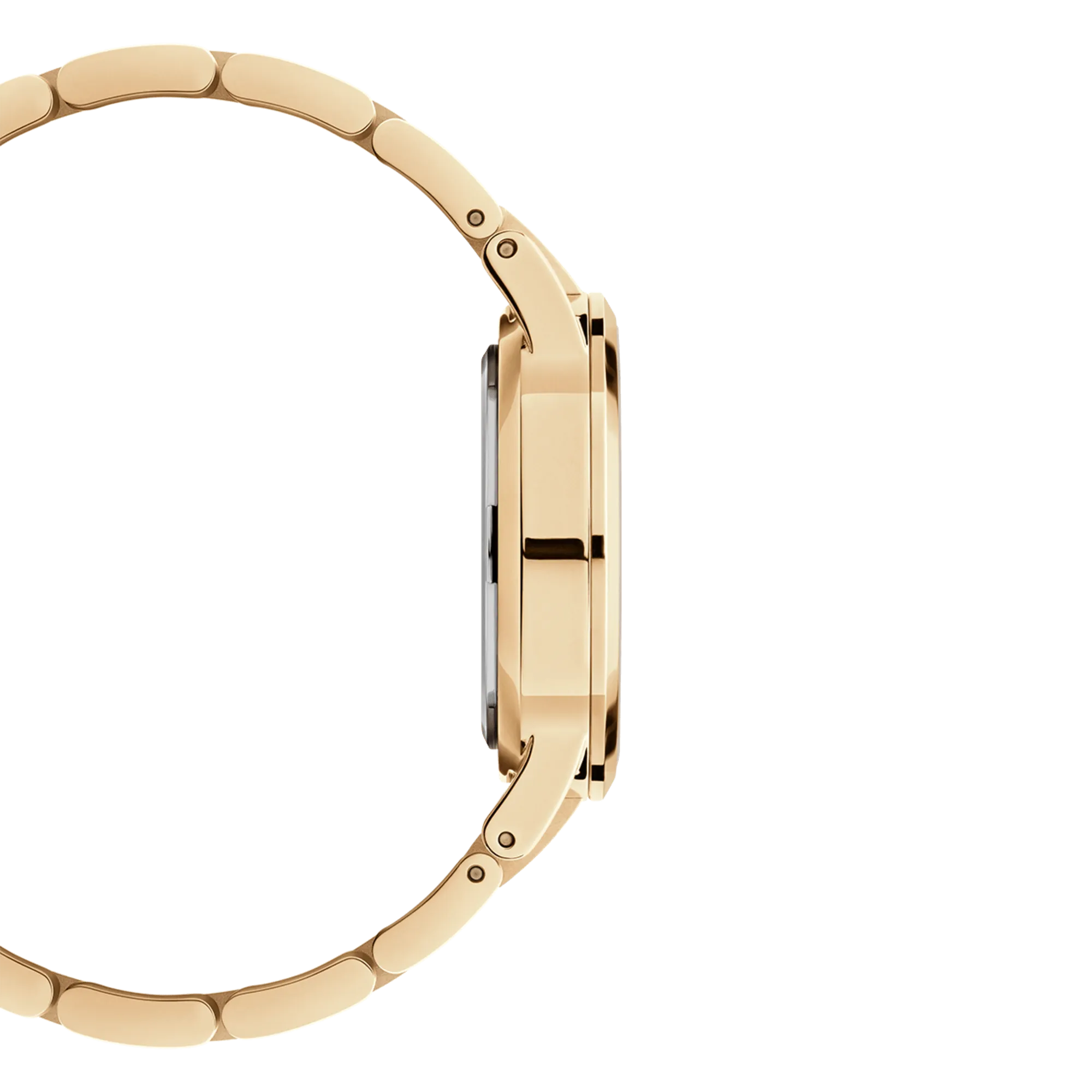 Iconic Link Daniel Wellington
