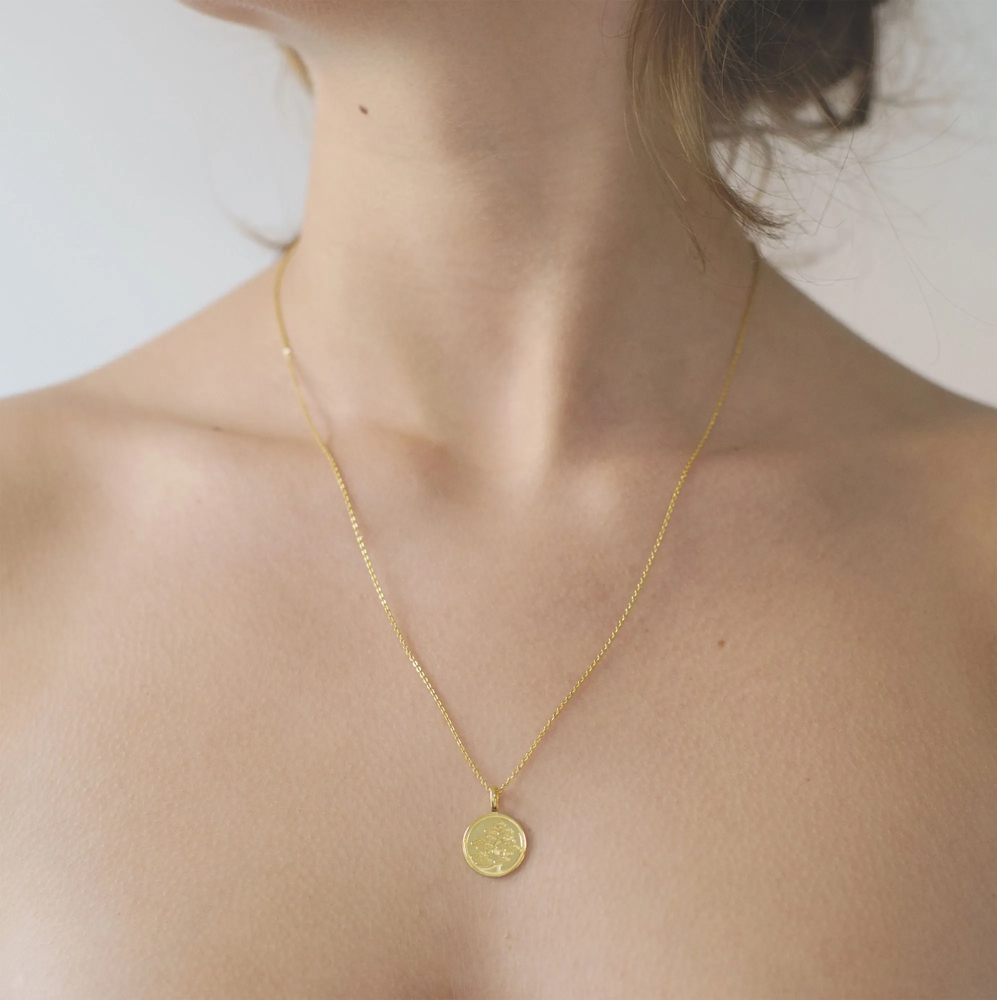 Kamon Gold Plated Necklace