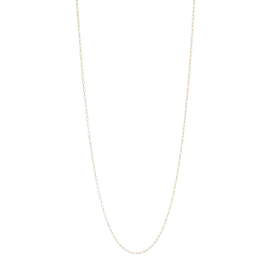 Stella Point Necklace (chain) Gold Plated