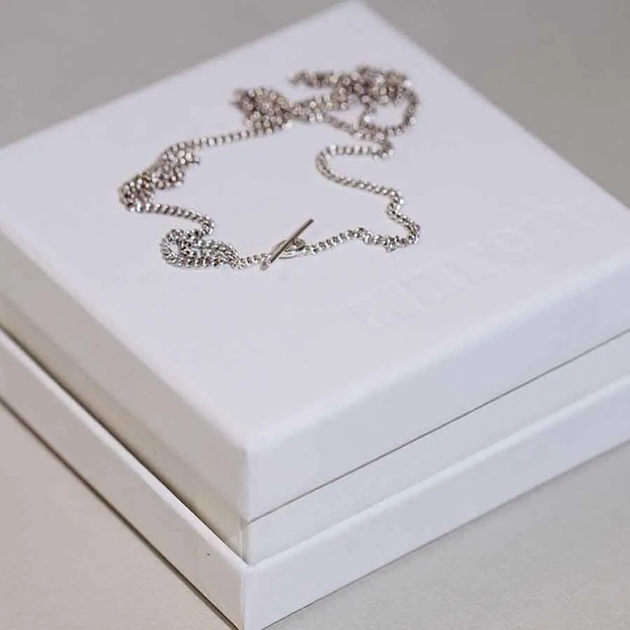 The Bold Essential Silver Necklace